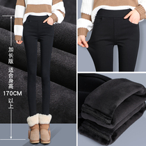 Lengthened plus velvet leggings women wear tall autumn and winter high waist stretch thin black pencil pants extra long