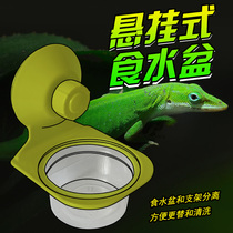 nomo reptile dual-purpose water basin green Coe pot Spider breadworm basin ciliary horn guard feeding platform