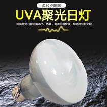 UVA frosted heating day lamp reptile Creeper climbing land turtle box lizard day insulation tank tank sun lamp