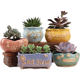 Succulent flowerpot ceramic ລາຄາພິເສດການເກັບກູ້ succulent ພືດຂະຫນາດໃຫຍ່ສ້າງສັນ breathable ຂະຫນາດນ້ອຍ flowerpot stoneware ເສັ້ນຜ່າກາງຂະຫນາດໃຫຍ່