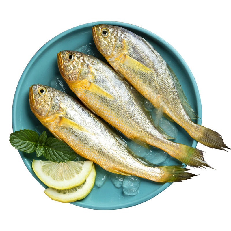 野生深海生鲜小黄鱼500g(热品库)