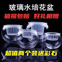 Glass round ball flowerpot hydroponic green plant transparent large glass vase desktop water fish tank container container