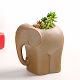 Coarse pottery breathable violet arenaceous meaty plant flower pot elephant cartoon character ceramic flower POTS, green potted furnishing articles