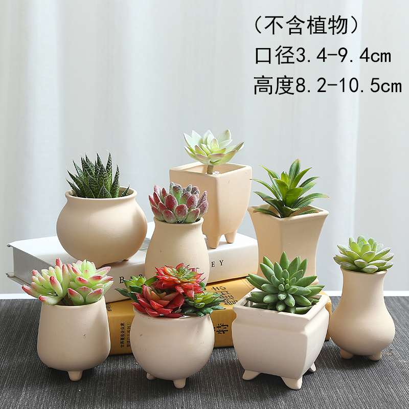 TaoXin language colorful coarse TaoSu burn more meat plant POTS violet arenaceous large diameter more than creative ceramic flower POTS