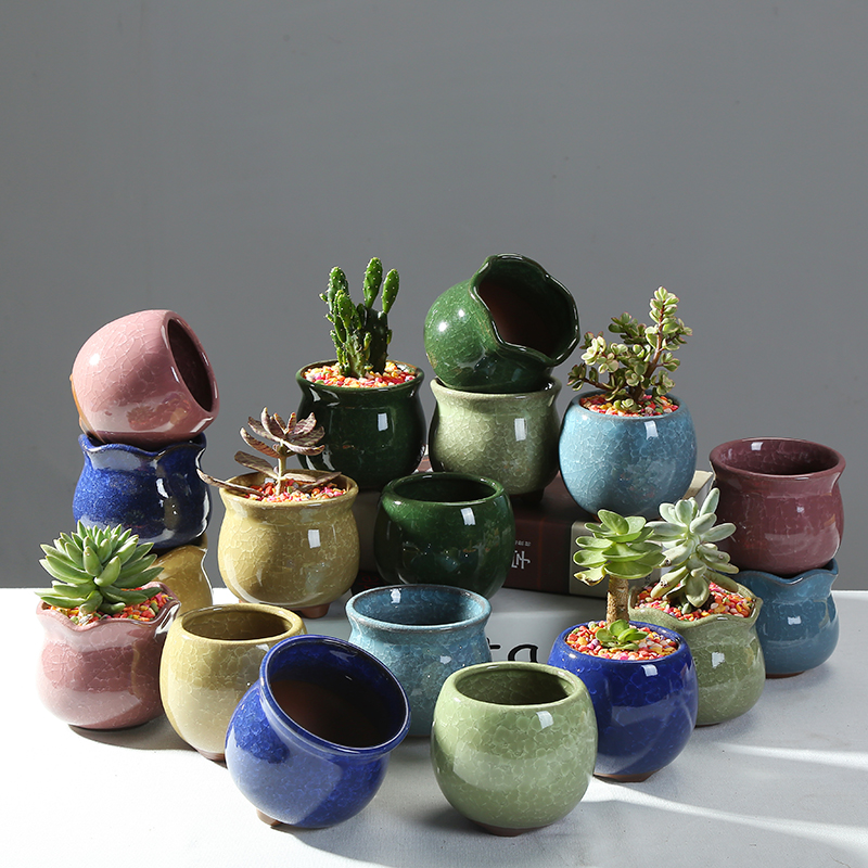 Ice crack ceramic flower POTS and colorful more meat, green asparagus orchid flowers exchanger with the ceramics vase contracted polychromy furnishing articles