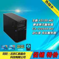 New X3100 M5 mute tower server E3-1225V6 8G office with friendly server