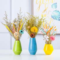 Nordic creative simple light luxury small vase dried flowers living room TV cabinet desktop starry flower arrangement decoration ornaments