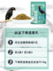 Kaiyuan Myna Feed Myna Bird Feed 500g Myna Bird Myal Feed Kaiyuan Myna Feed Bag 1 kg Kaiyuan Myna Feed Myna Bird Feed 500g Myna Bird Myal Feed Kaiyuan Myna Feed Bag 1 kg
