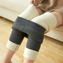 Autumn and winter cotton gray leggings women wear high-waisted plus velvet thickened thin vertical stripes northern lamb velvet cotton pants