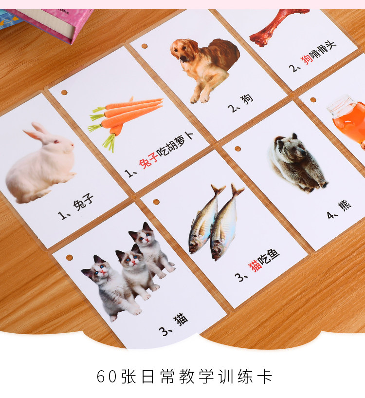 儿童百科认知卡吃什么语言发育迟缓康复教具 孤独自闭症训练卡片