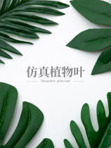 Simulation leaves dried flowers plant still Life photo props green leaf background Taobao ins Nordic minimalist style shooting photography creative pendulum Net Red live room set