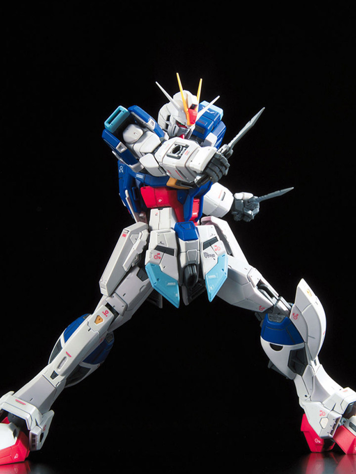 万代rg威力型脉冲高达模型