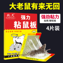 Mouse stick Super strong sticky mouse board Household mouse exterminator Environmental protection capture big mouse artifact Superglue water rat blanket