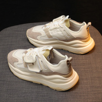 Daddy shoes and daughters in 2022 new pine thick sports leisure waffle Agan autumn sneakers