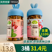 Natural World Home Baby Opener Strawberry Taste Original Taste 110 gr Children Casual Grinders Small Cookies Zero Food Crunch