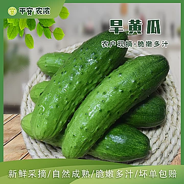 东北农家蔬菜新鲜应季水果黄瓜5斤[11元优惠券]-寻折猪