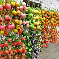 Simulated fruit and vegetable hanging string fruit and vegetable model fruit shop decoration farmhouse pendant decoration children's cognitive ornaments