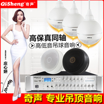 Qidong installation coaxial ceiling hanging ball sound speaker Suspended embedded ceiling ceiling speaker Hotel pavement Restaurant Supermarket background music system Set amplifier Wired public broadcasting