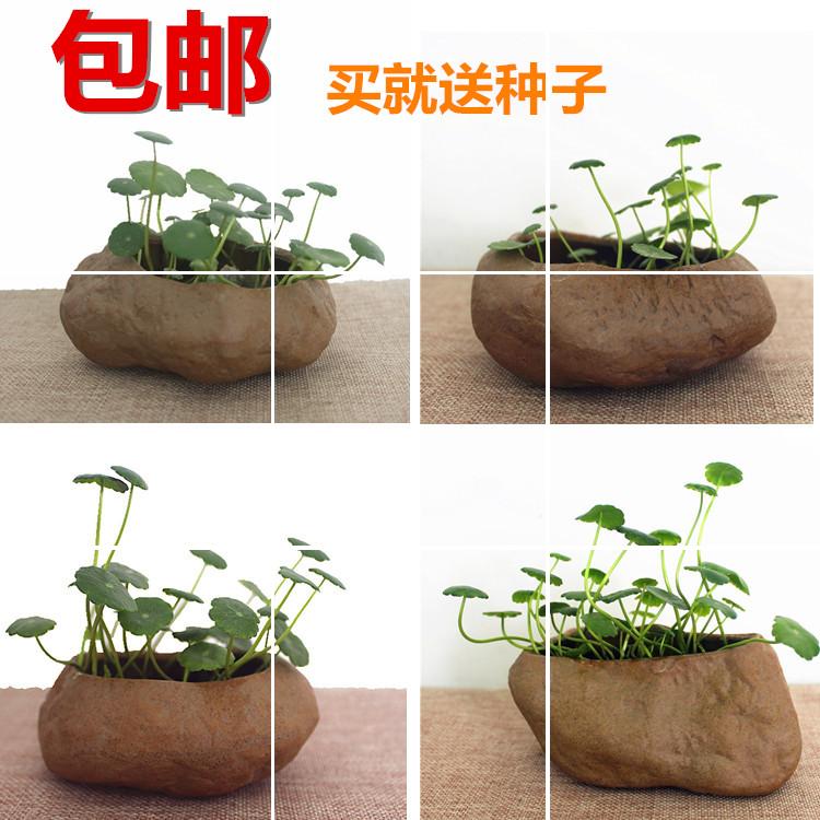 Porcelain stone flower implement indoor desktop hydroponic flower grass cooper faceplate flowerpot money plant flower pot soil culture, fleshy