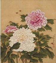 More than zhi bird map