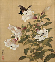 More than zhi bird map