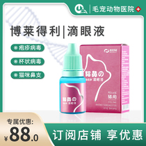 Bolideli cat nasal branch eye drops cat herpes virus calicivirus infection conjunctivitis cat eye drops
