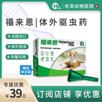 Drops for cats Flein in vitro anthelmintic to remove fleas lice and insecticide Flein insecticide
