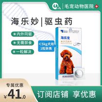 Officially Authorized Haile Pet Small and Large Dog Body Deworming Drugs to Kill Ascaris Fleas Ear Mites