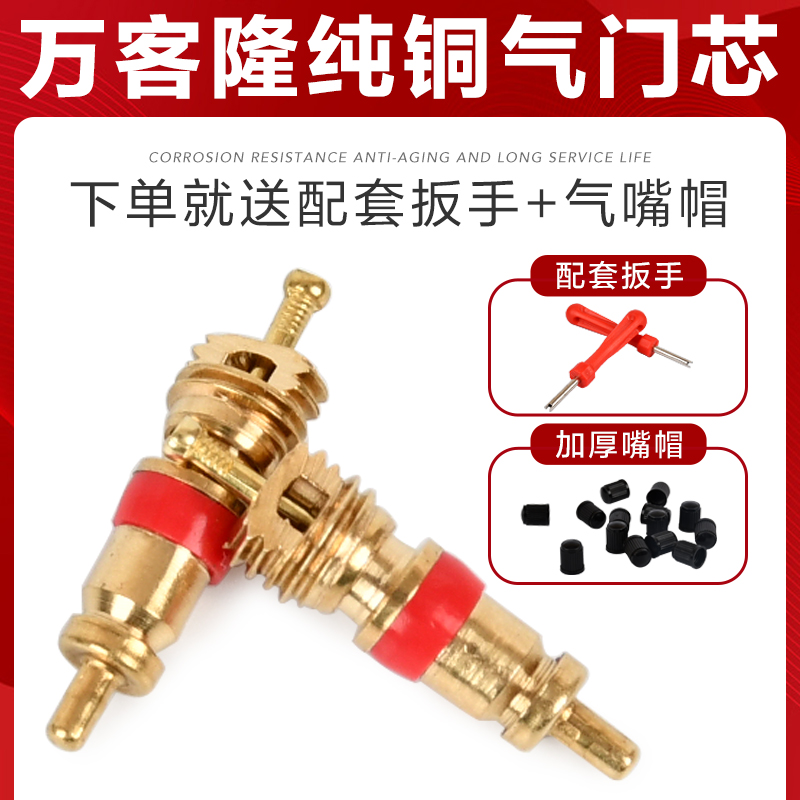 Tire universal pure copper valve core resistant to aging without slow leakage truck Motorcar Moto electric bottle car vacuum nozzle valve pin-Taobao