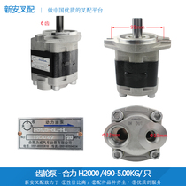 Liwei hydraulic pump gear oil pump hydraulic oil pump (6 left rear in and out) CBHZ-F31 5-ALHL