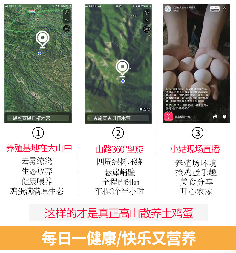 正宗富硒土鸡蛋农家散养40枚