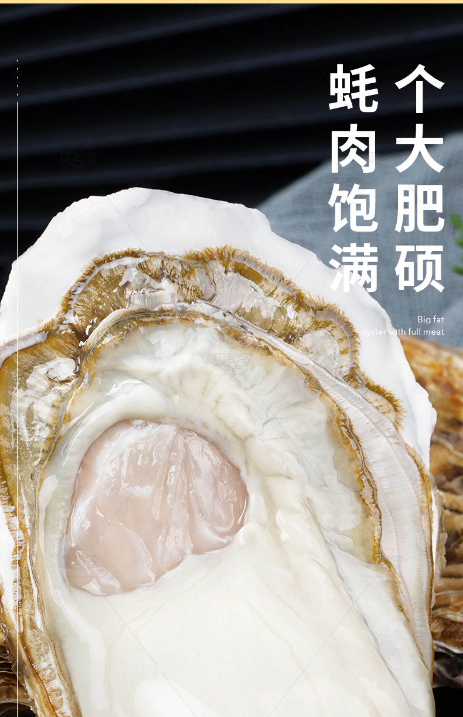 顺丰包邮！乳山生蚝鲜活5斤带箱海鲜牡蛎