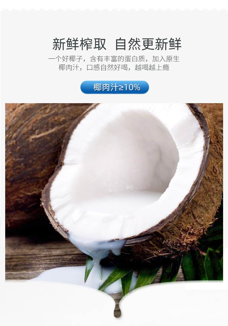 正宗生榨鲜椰子汁整箱海南生榨椰奶椰子水瓶装饮品245g*10瓶