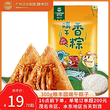 （送月饼）粮丰园粽子广东风味特产300g[18元优惠券]-寻折猪