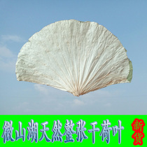 Dry lotus leaf whole soaked water glutinous rice chicken called flower chicken lotus leaf authentic fresh rice dumpling leaf steamed rice porridge commercial