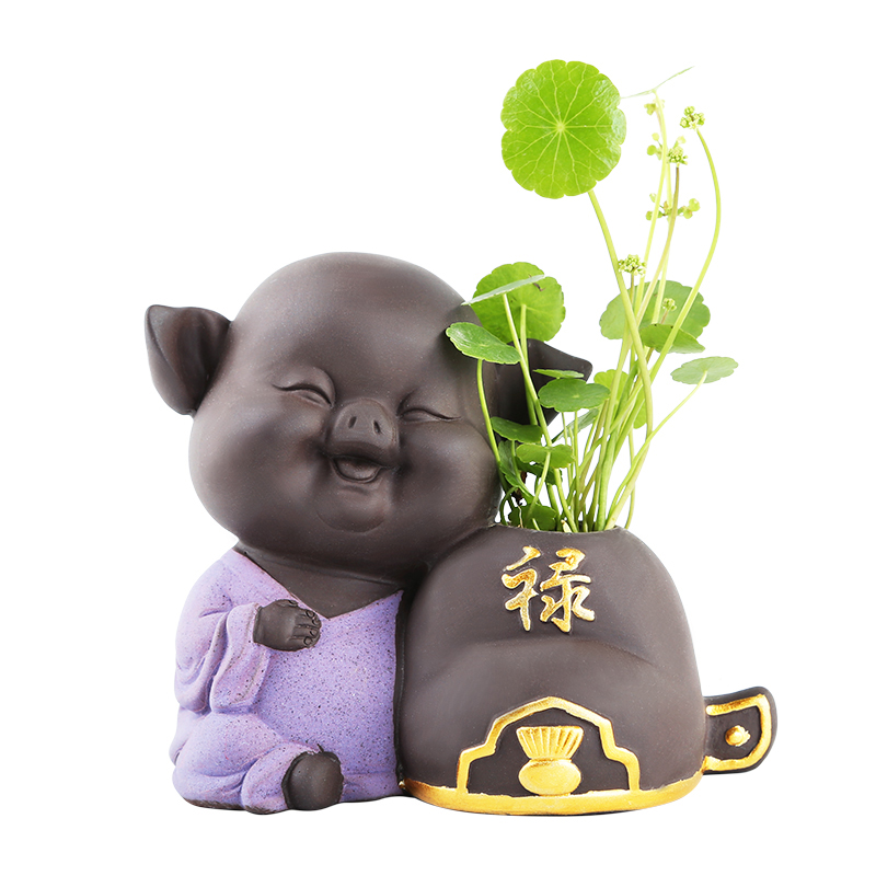 Chinese cartoon pig violet arenaceous other grass cooper hydroponic flower POTS of creative move aquatic flowers flower implement ceramics