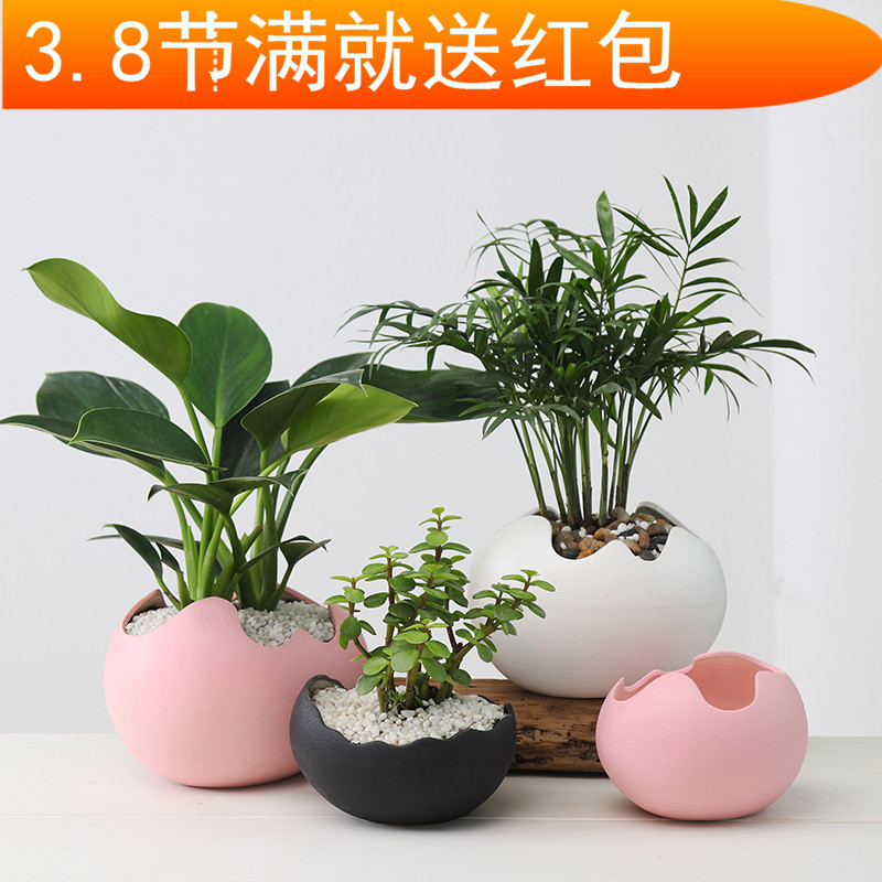 Contracted and creative move other copper grass green plant hydroponic flower pot fleshy retro desktop water flowers exchanger with the ceramics basin