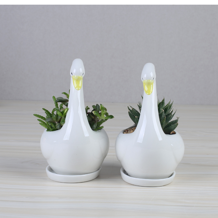 Contracted the Nordic style, small and pure and fresh green plant white ceramic flower pot tray was creative move indoor fleshy flower pot