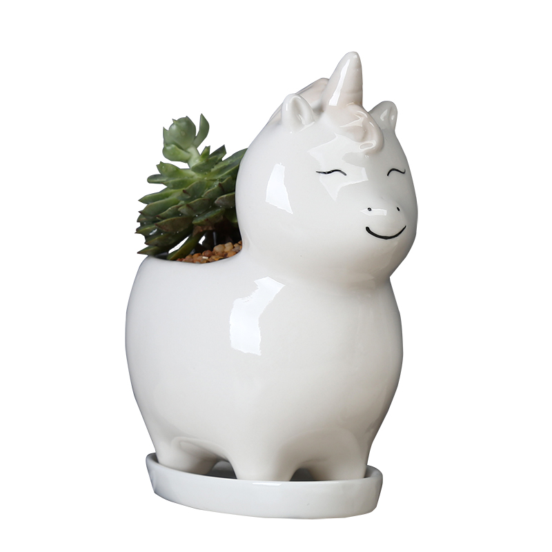 Flowerpot ceramic creative cartoon, fleshy meat meat basin is the balcony decoration desktop lovely the plants potted tray