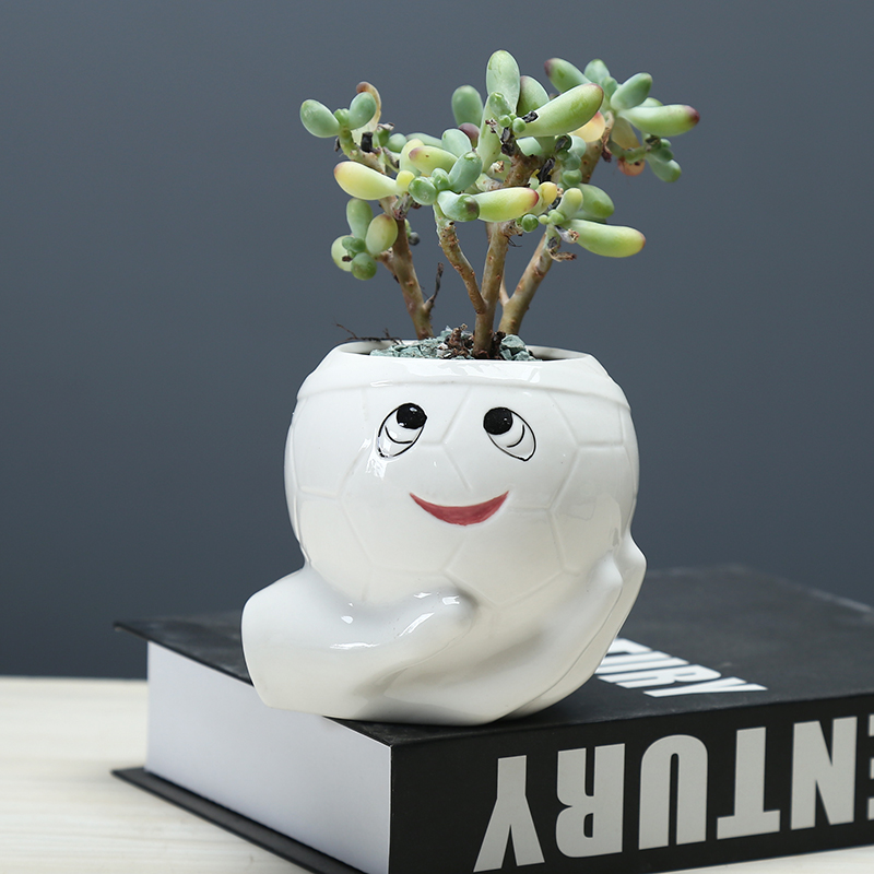 Express cartoon celestial being fleshy flowerpot creative move indoor ceramic flower pot the plants breathe freely, small desktop