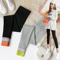 Maternity clothes 200 pounds spring and autumn cotton pants fat plus size fat MM loose thin wear sports leggings