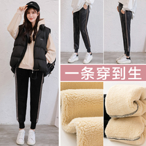 Pregnant women in winter lambskin thickened warm outside wear cotton pants plus fat plus size 200 pounds loose sports leggings