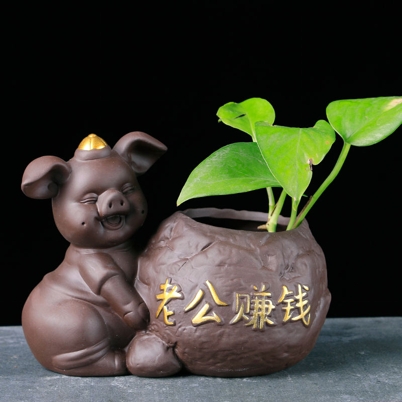 Creative money plant vase hydroponic plant aquatic plant violet arenaceous container vessels desktop decoration flower arranging ceramic furnishing articles