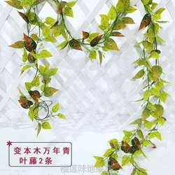 Plants! Planting vines, artificial leaves, grape artificial flowers, twining rattan ceiling, green plastic ivy vines