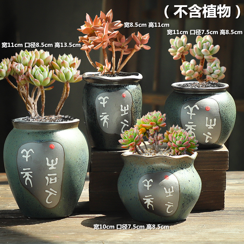 Coarse pottery breathable old running the fleshy flowerpot indoor household meat meat large contracted special offer a clearance pottery flowerpot more meat