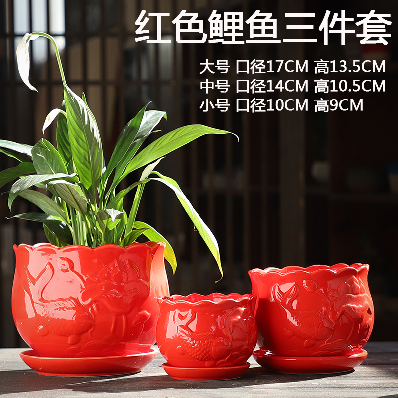 Red flower POTS ceramics creative move contracted large butterfly orchid with tray other flesh fleshy flower pot the plants