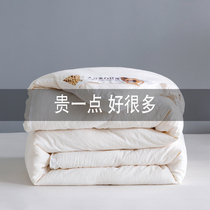 Sleeping Room Quilt 1 5 m Single Bed Cotton Quilted By Hotel Quilt Core White Spring Autumn Silk Winter Quilt thickened warm 8 catty
