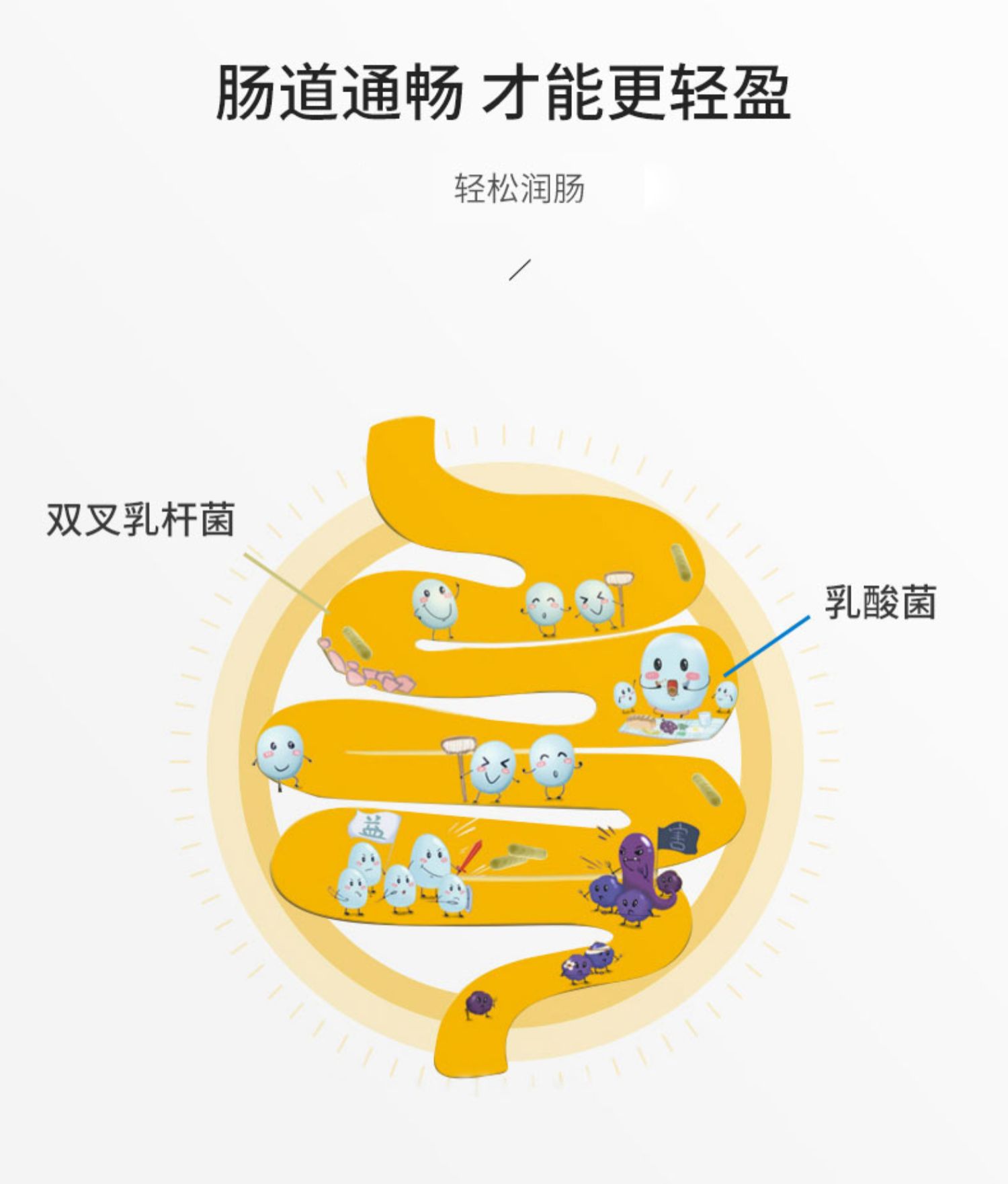 svelty丝蓓缇3倍分解酵母抗糖丸