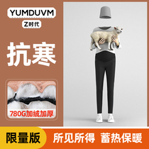 Pregnant wool pregnant womens pants autumn and winter wear cotton pants leggings warm pants winter plus velvet thickened cold-resistant pants women