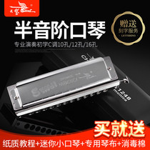 Halitonic harmonica Swan 12 twelve holes C tune 48 tone beginner adult professional playing harmonica